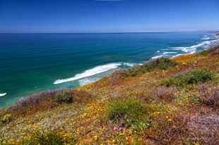 Torrey Pines-9946.jpg Torrey Pines-9946.jpg